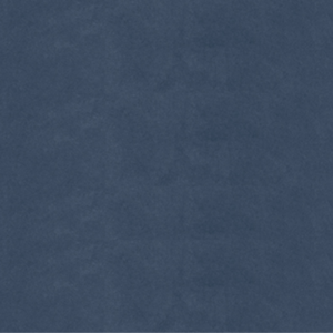 Pigmenta Blue
