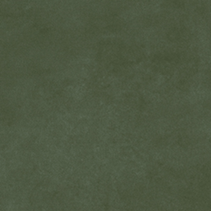 Pigmenta Olive