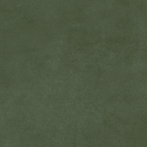 Pigmenta Olive