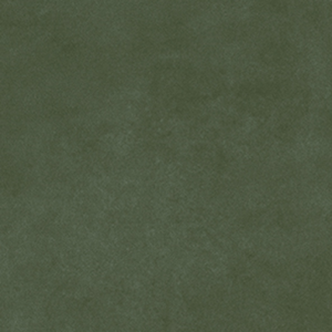 Pigmenta Olive