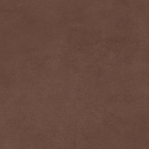 Pigmenta Maroon