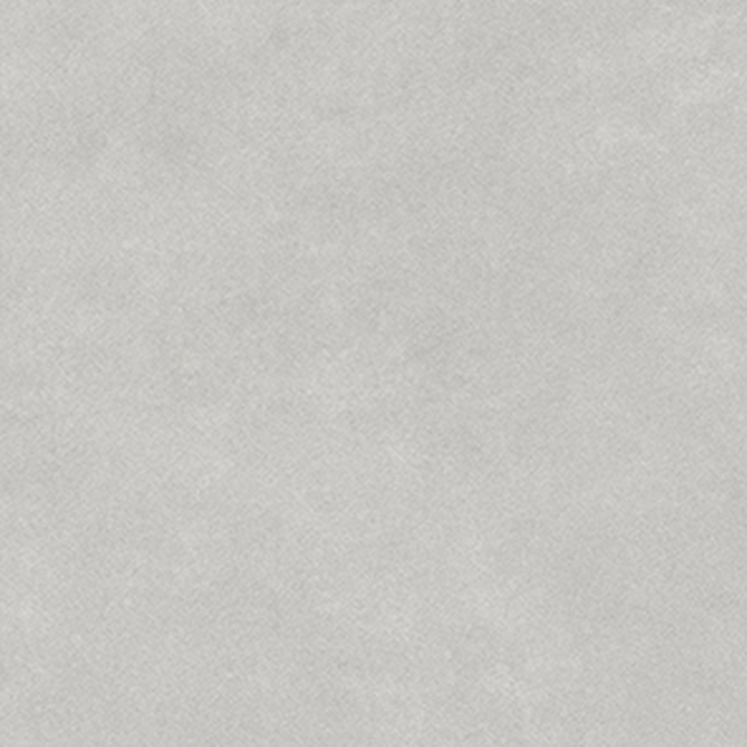 Pigmenta Daisy - Image 5
