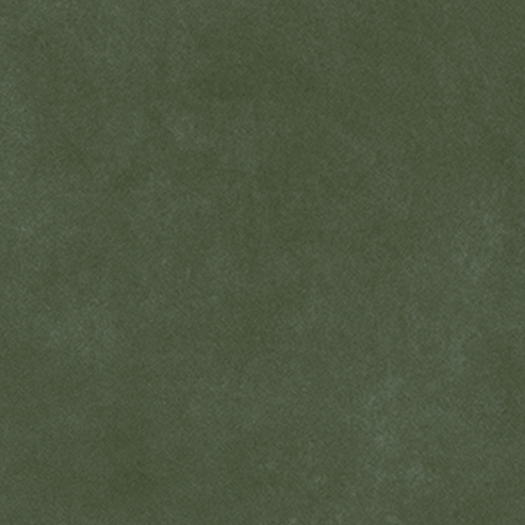 Pigmenta Olive - Image 4