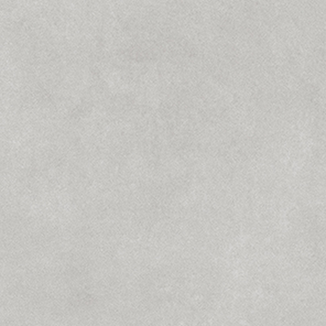Pigmenta Daisy - Image 4