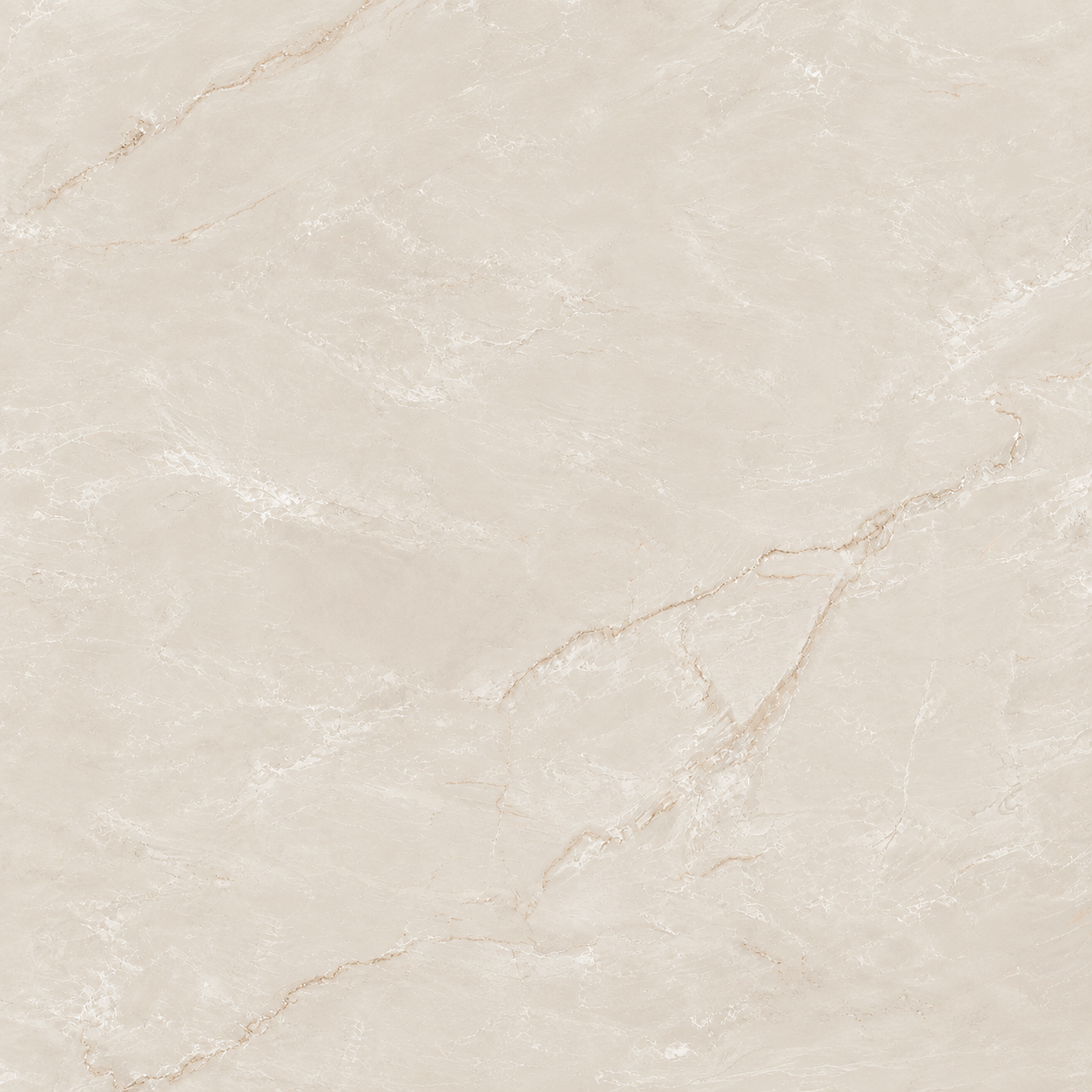 Delicato Grey (Polished) - Image 2