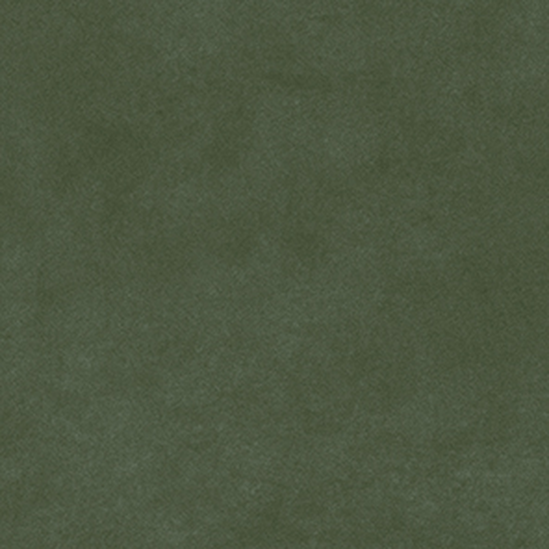 Pigmenta Olive - Image 3
