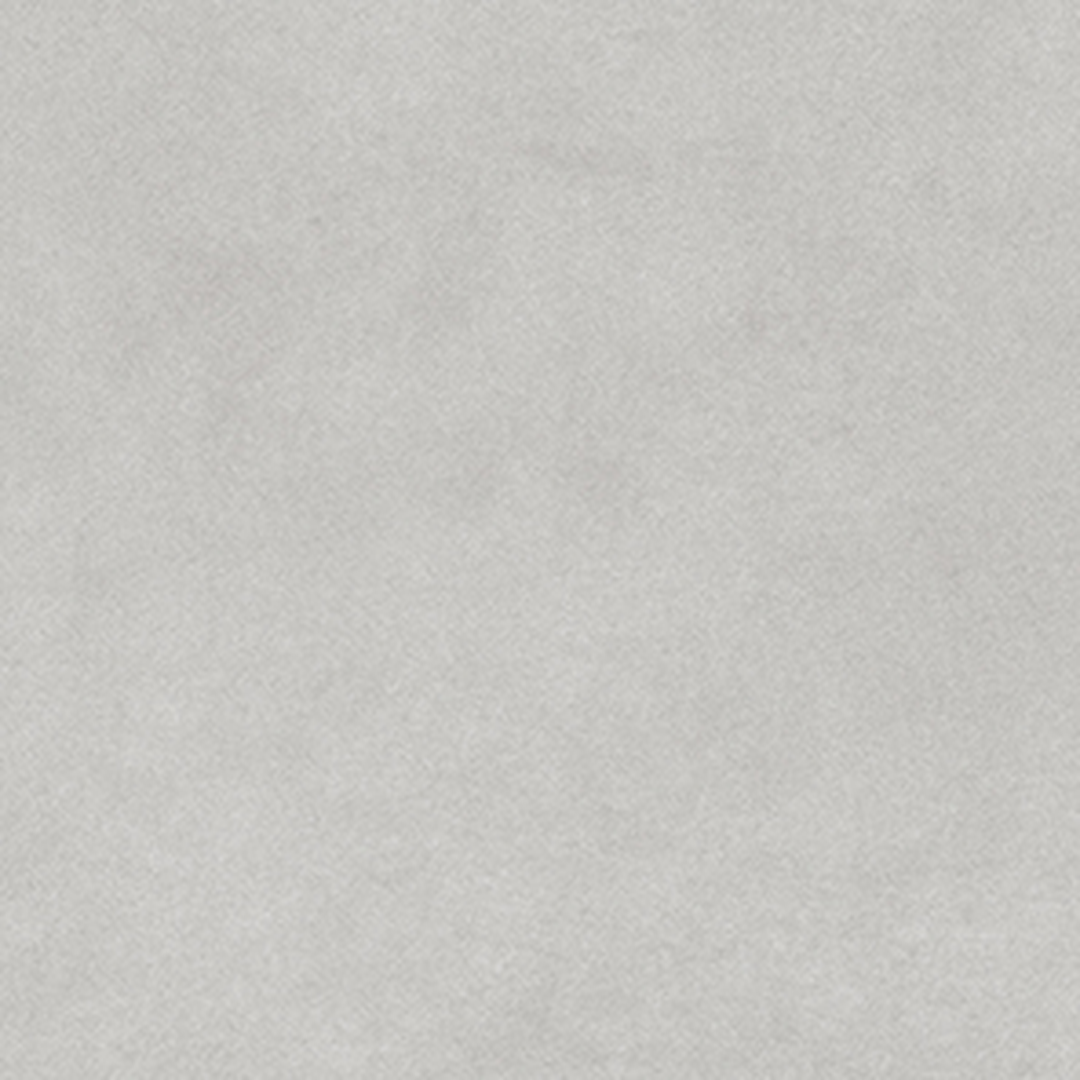 Pigmenta Daisy - Image 3