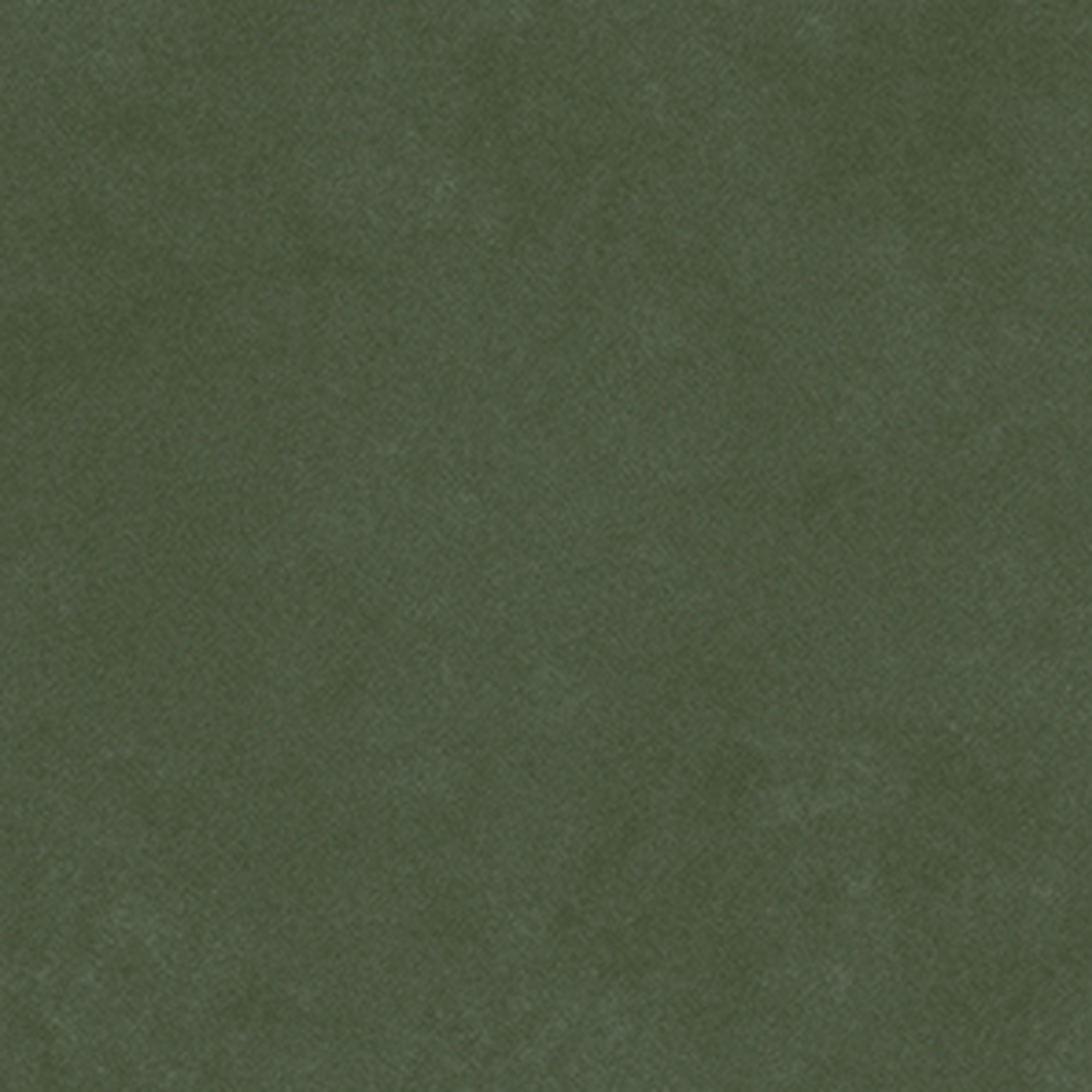 Pigmenta Olive - Image 2