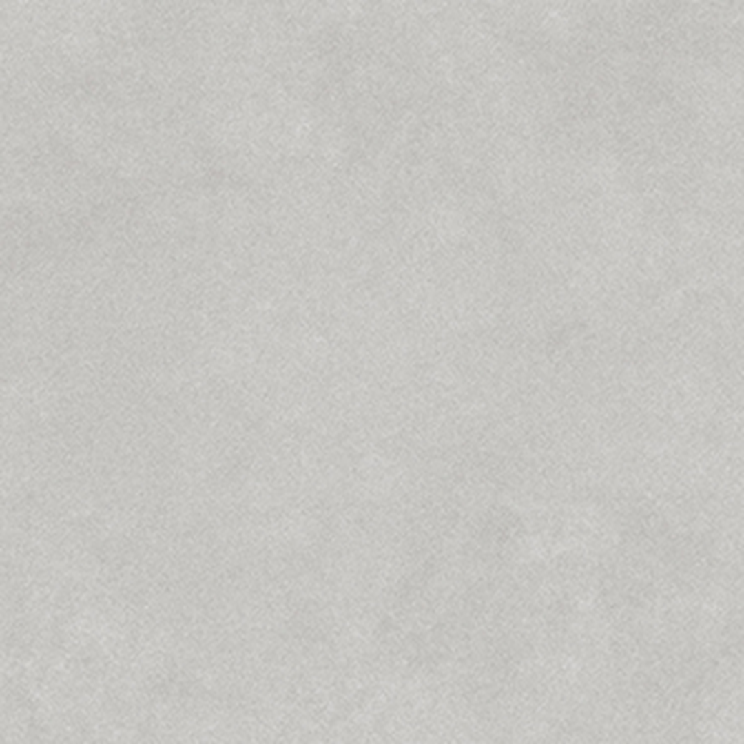 Pigmenta Daisy - Image 2