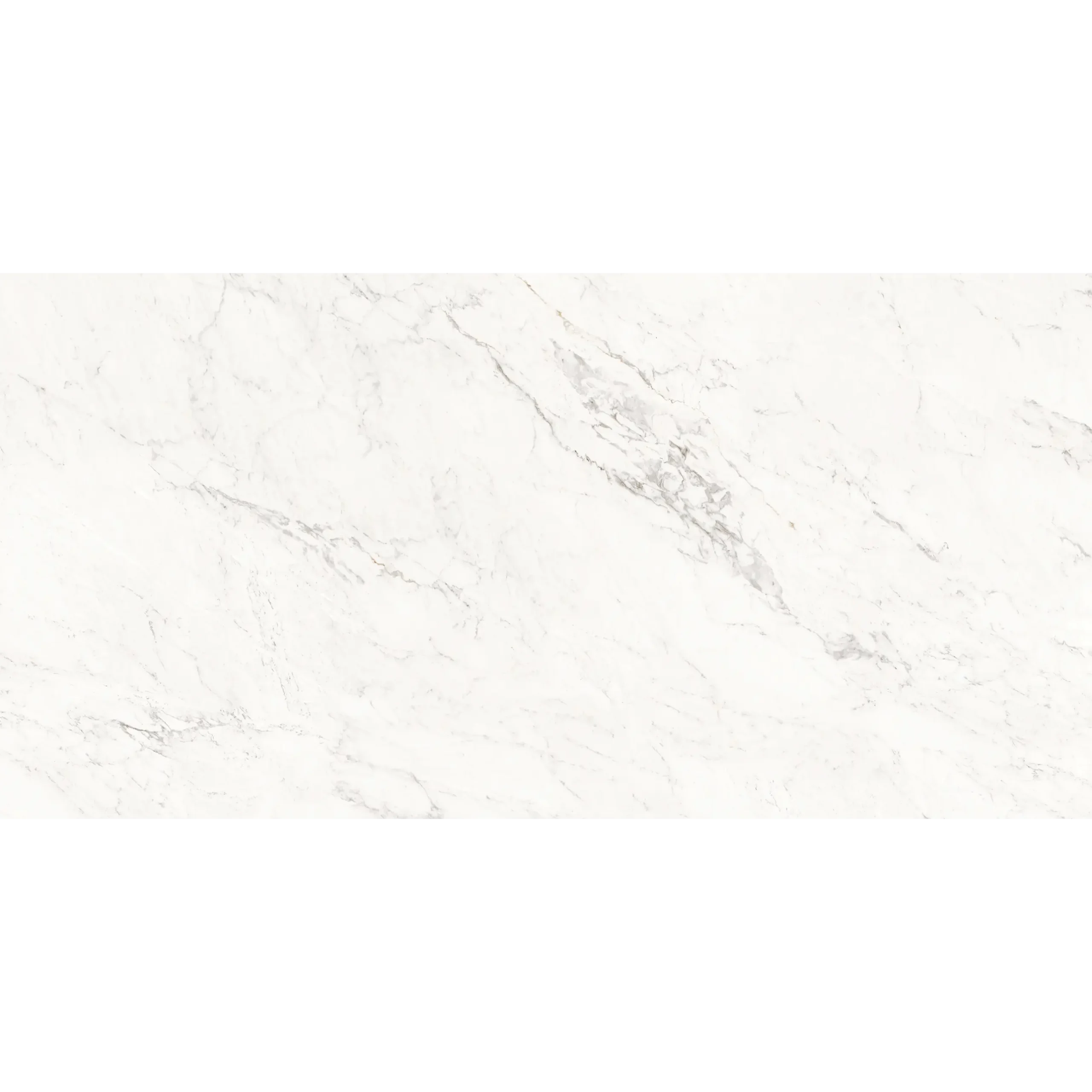 Carrara Auric - Image 4