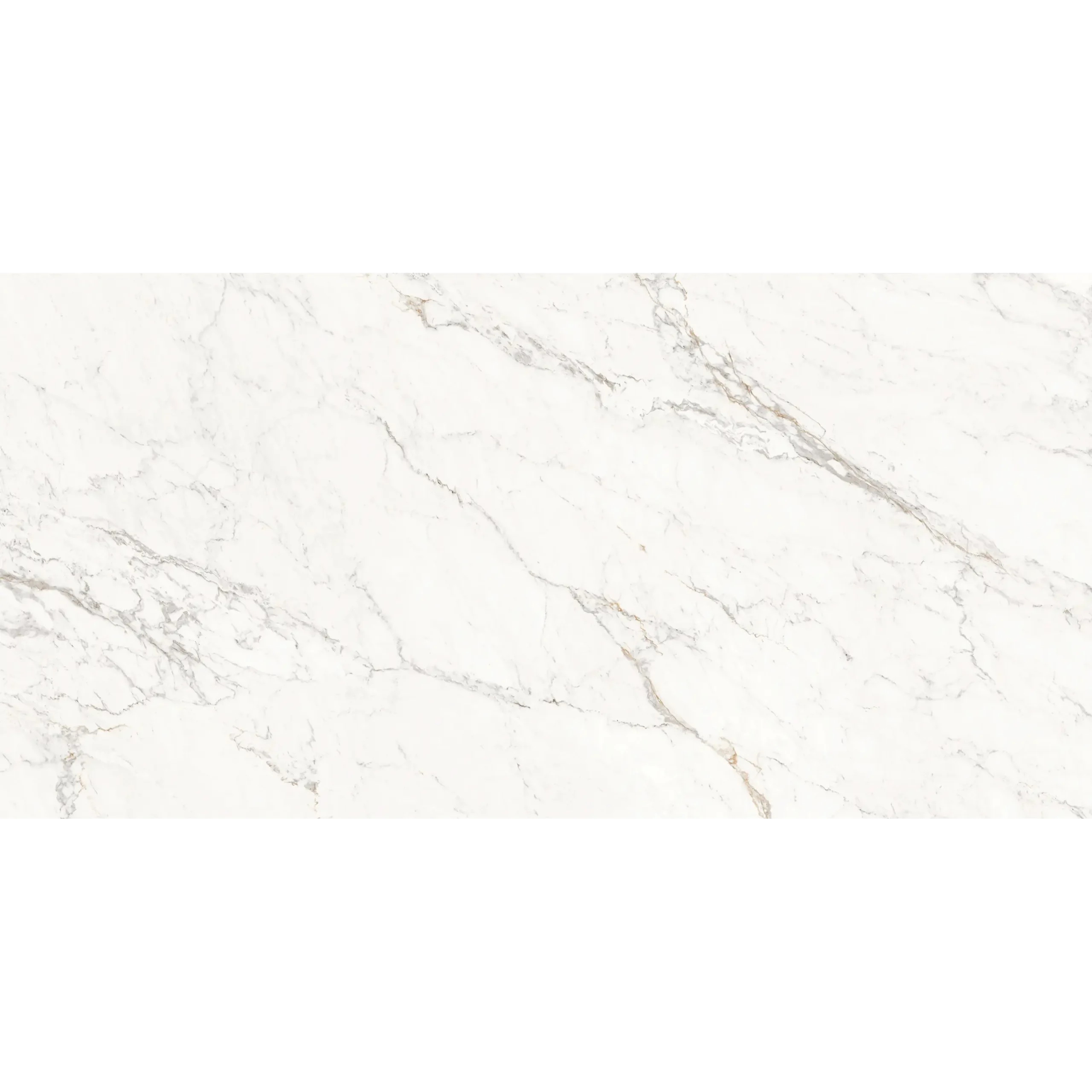 Carrara Auric - Image 5