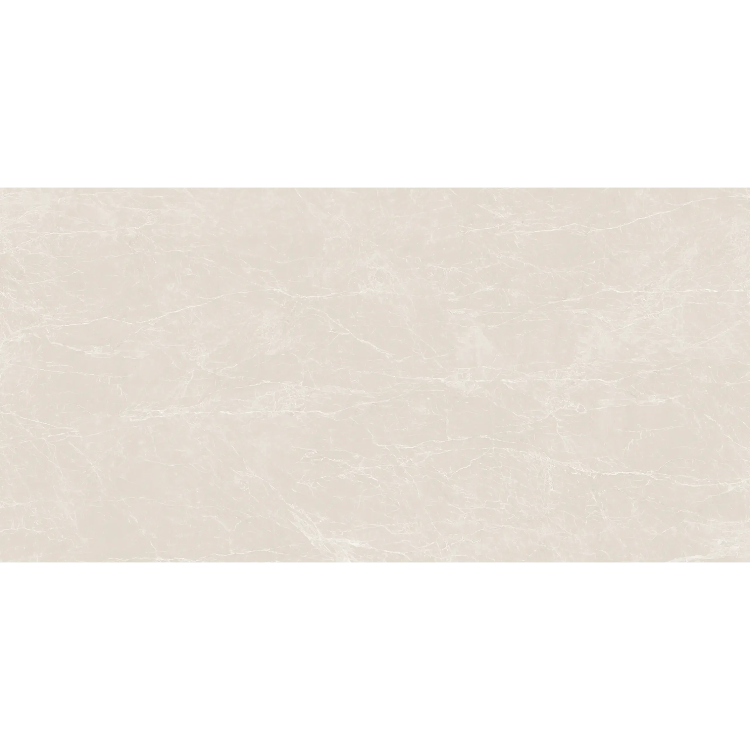 Veticano Daisy - Image 2