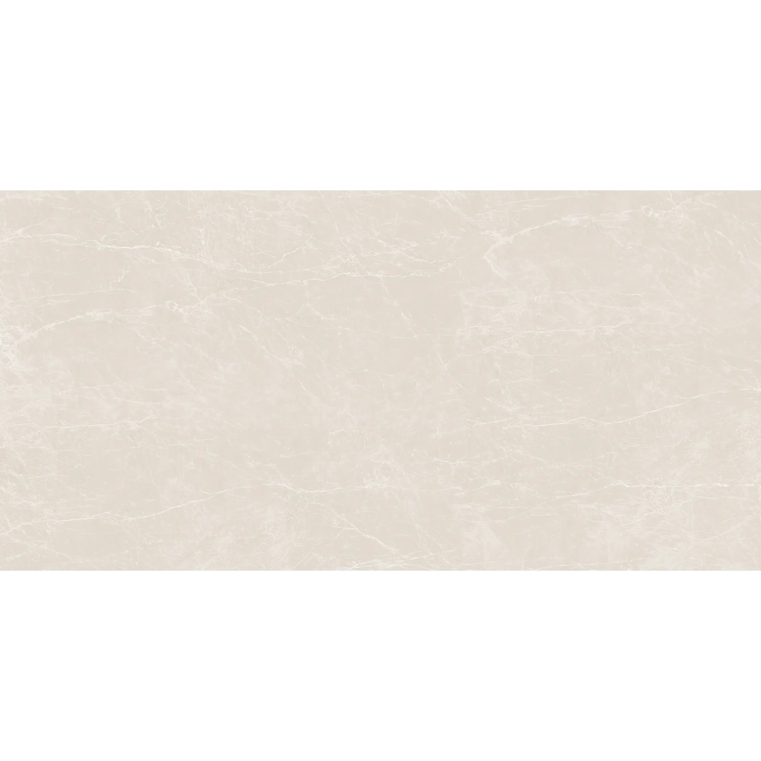 Veticano Daisy - Image 3