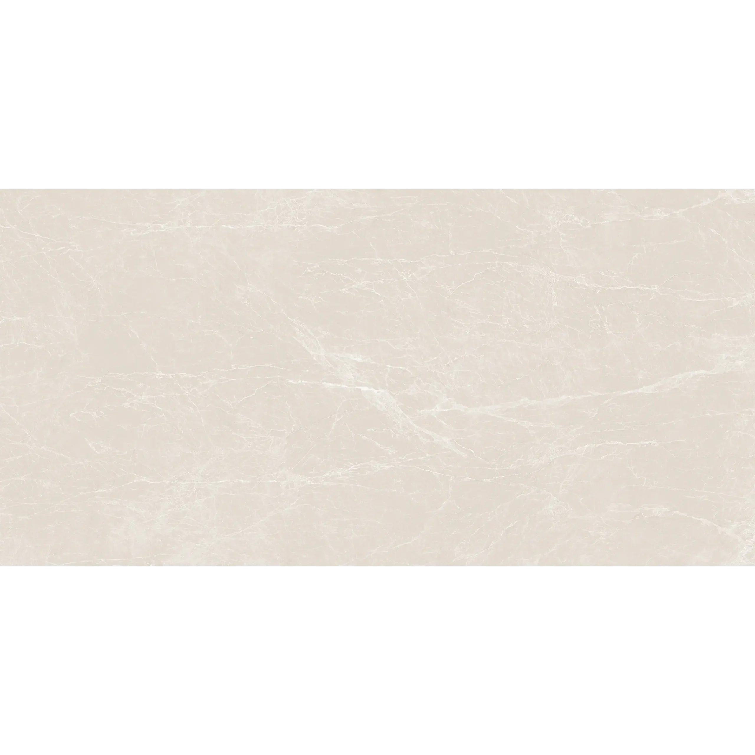 Veticano Daisy - Image 4